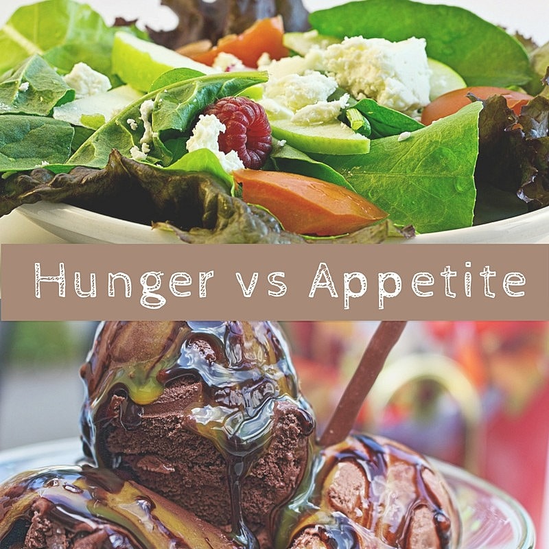 Image result for hunger vs appetite