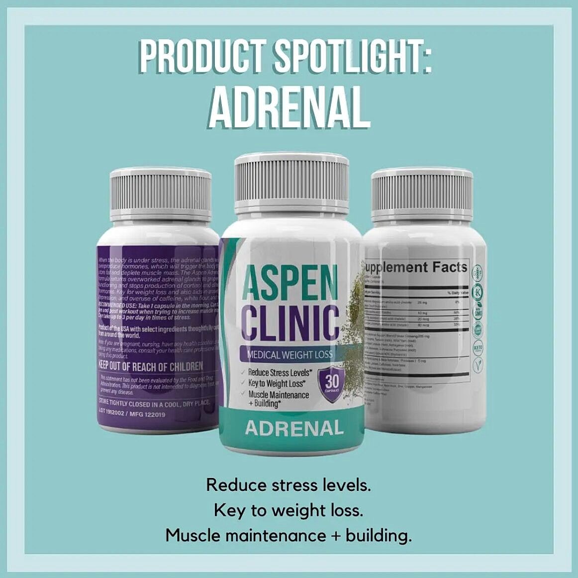 Adrenal Spotlight