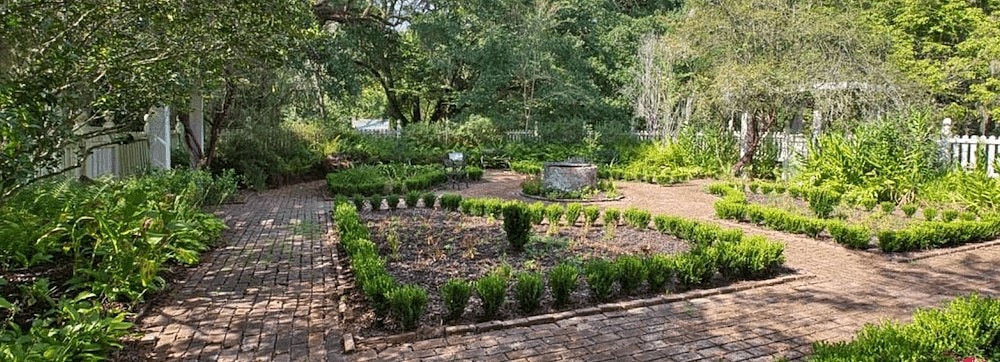 Best Louisiana Parks to Explore in the Winter