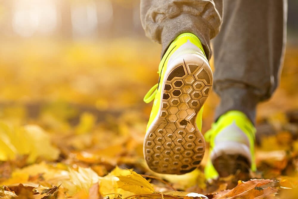 Why Fall is a Great Time to Join the Aspen Clinic