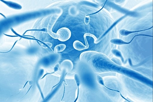 Life readiness is important, but so is biology