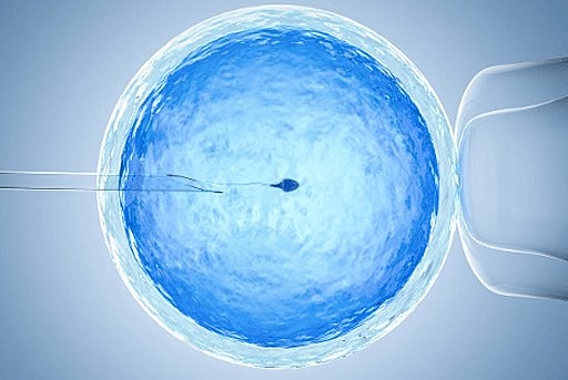 Navigating mental health and fertility
