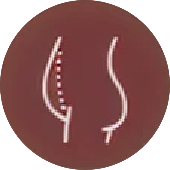 tummy tuck icon