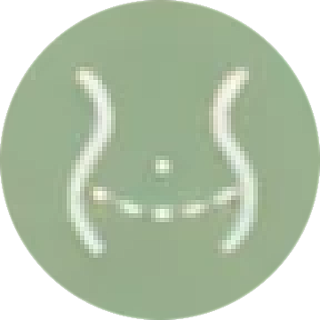 abdominoplasty icon