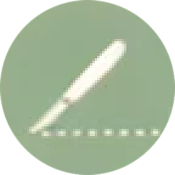 scalpal icon