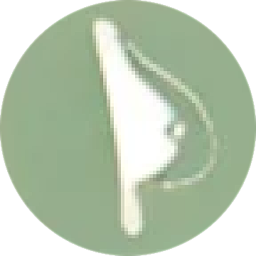 augmentation icon