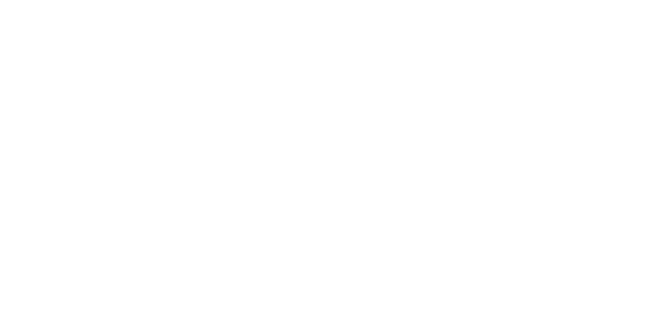 Google logo with 4.9 star rating