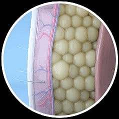 Is New Always Better? Why You Should Stick to Original CoolSculpting - Image 3