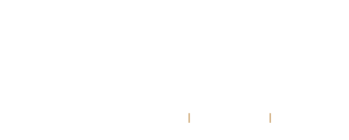 Foundry Wellness Logo