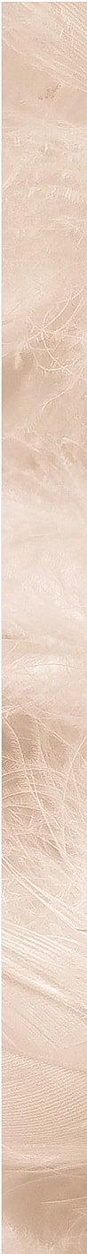 Soft beige textured background with subtle patterns.