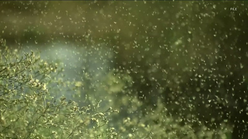 Treating seasonal allergies in teens, kids, and toddlers