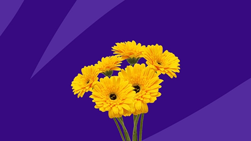 Treating seasonal allergies in teens, kids, and toddlers