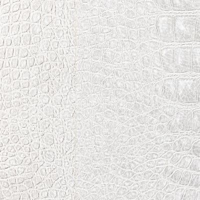 White crocodile leather texture background.