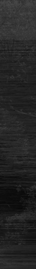 Textured dark background with subtle patterns.