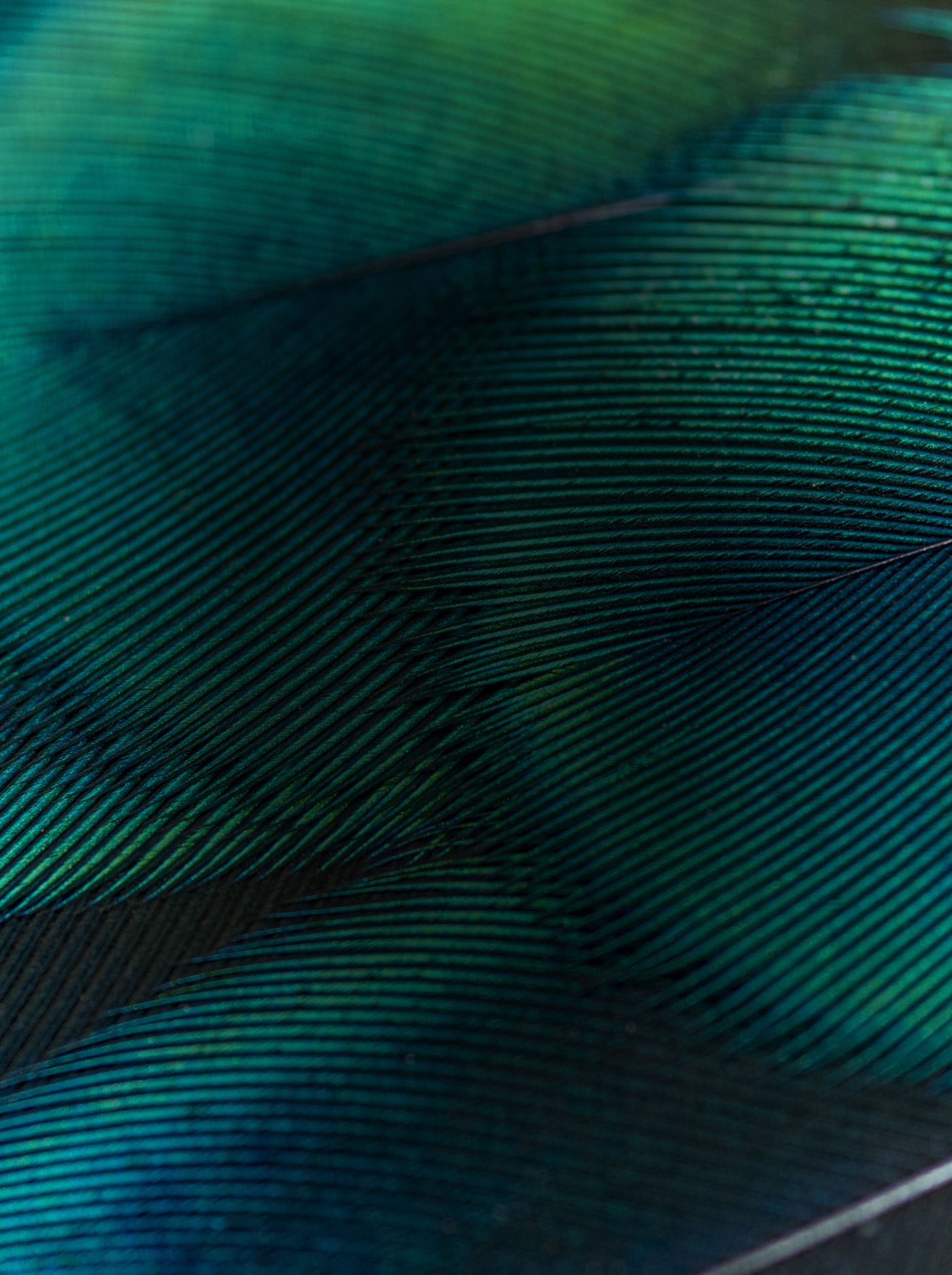 green accent