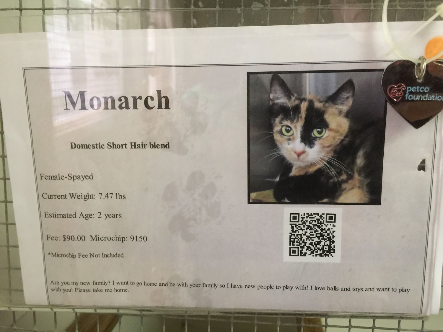 Isabelle's Adoption Card at HWAC