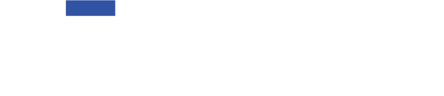 Logo for Surface Level brand.